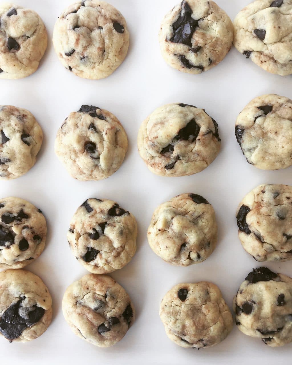 Çikolata Parçacıklı Kurabiye