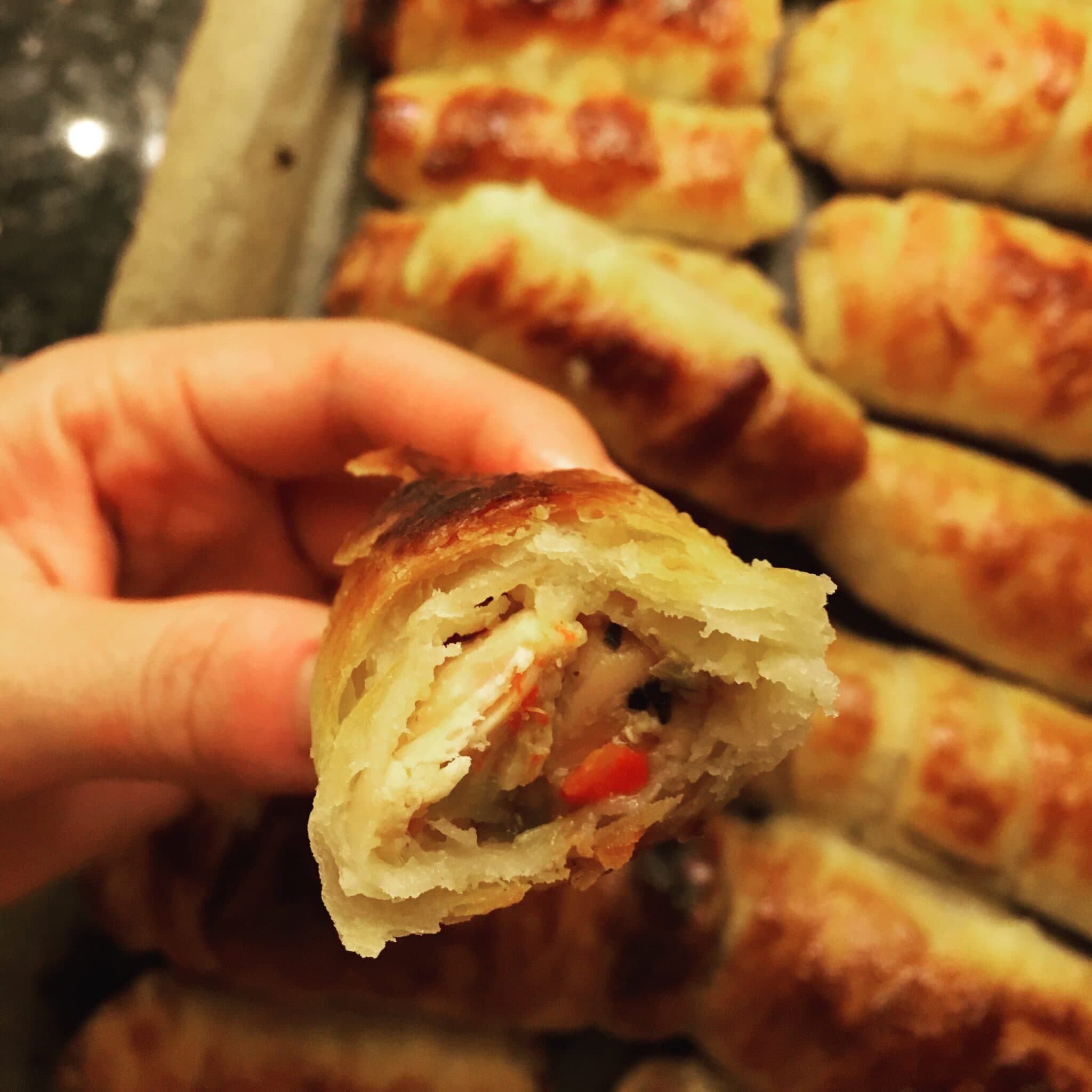 Sebzeli Tavuklu Börek